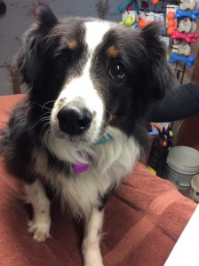 home page slide show 1