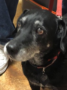 home page slide show 10