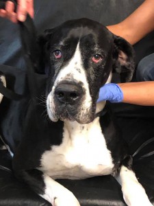 home page slide show 11