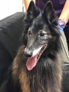 home page slide show 13