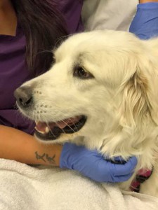 home page slide show 20