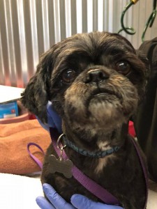 home page slide show 21