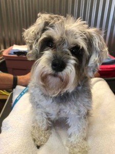 home page slide show 22