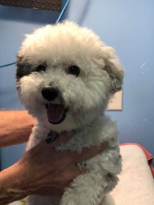 home page slide show 24