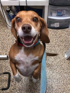 home page slide show 25