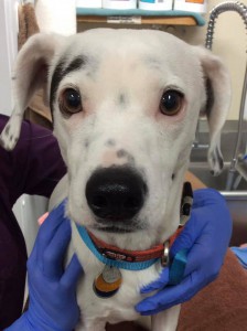 home page slide show 3