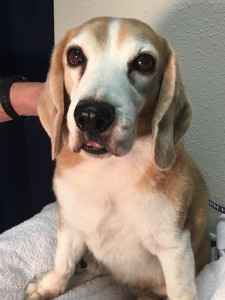 home page slide show 30