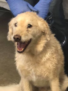 home page slide show 5