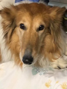 home page slide show 6